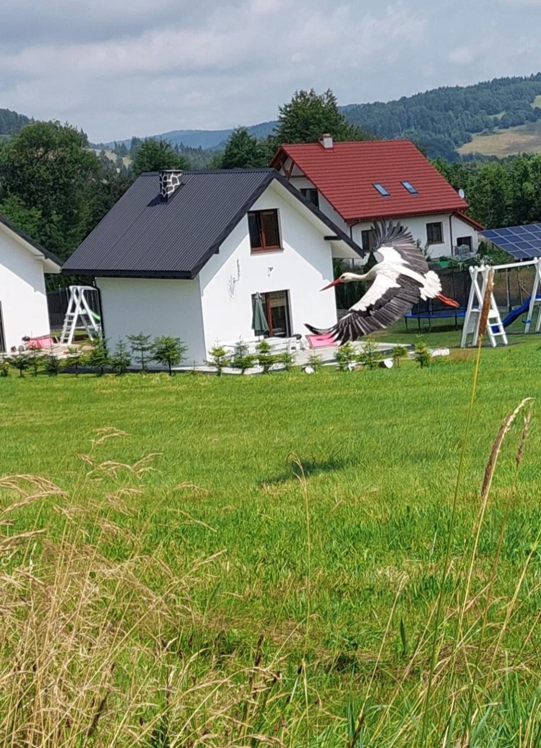 Domek Pod Holica Bieszczady Villa Ustrzyki Dolne Bagian luar foto